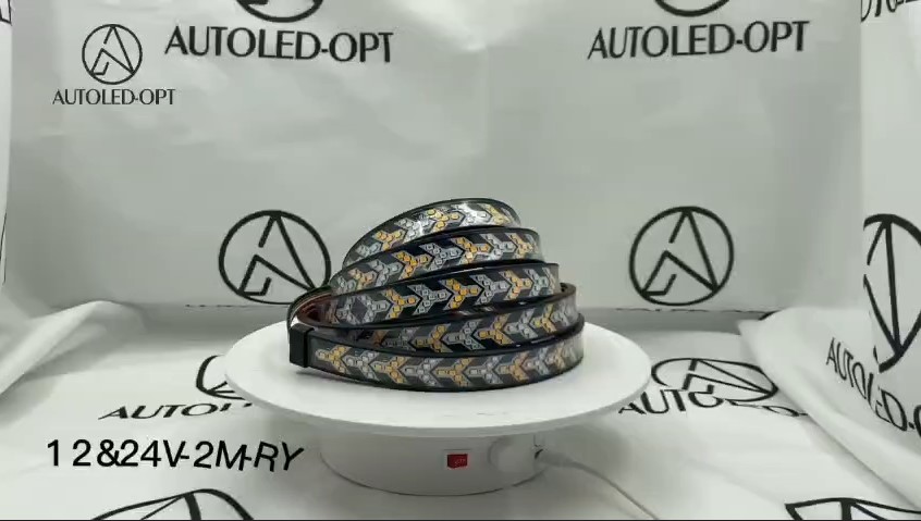 Спойлер светящийся 12/24V-2M-RY