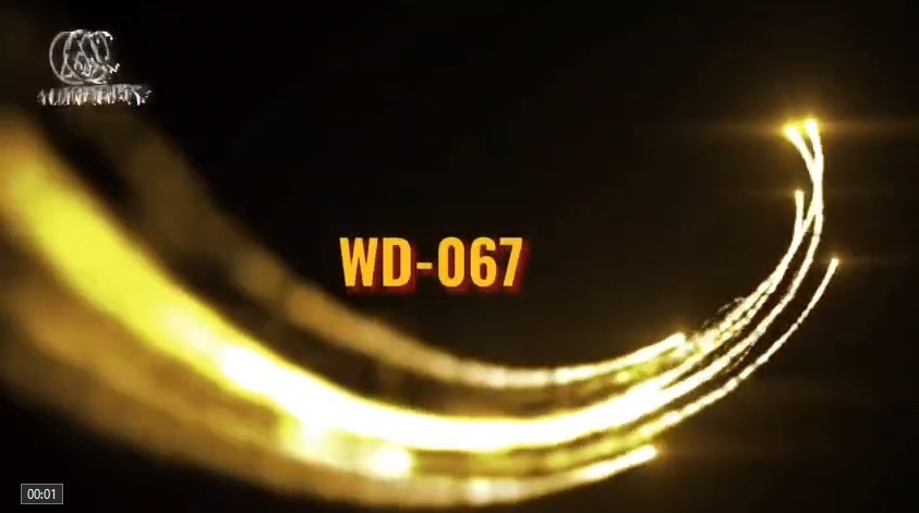 Светодиодные противотуманные фары WD-067